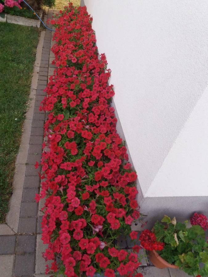 Hotel Pansion Ljubica Međugorje Esterno foto